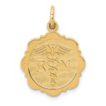 14k RN Registered Nurse Textured Back Disc Charm