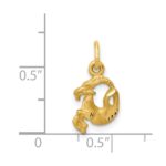 14k Satin Diamond-cut Capricorn Zodiac Charm - Image 3
