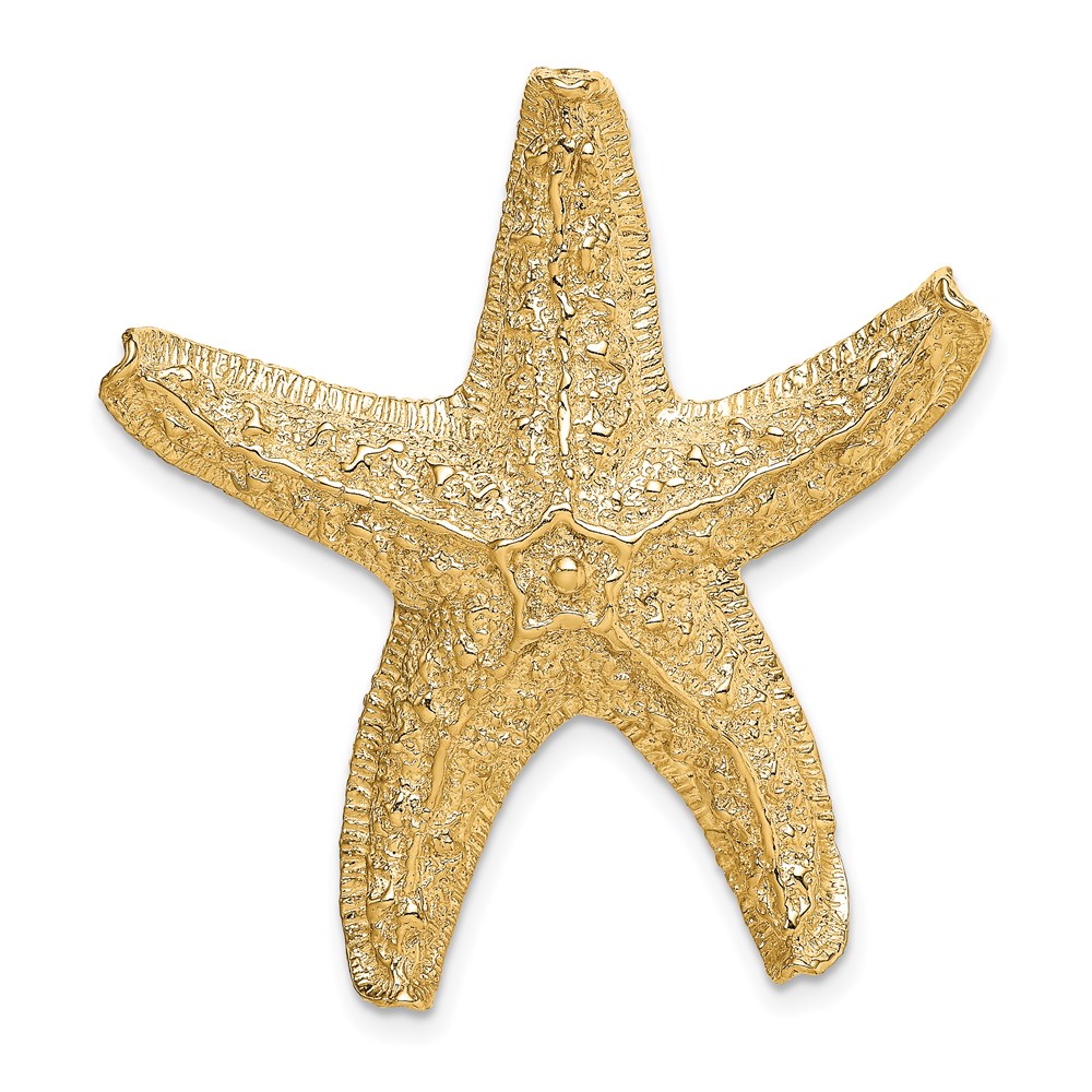 D2869.jpg 14k Large Textured Starfish Omega Slide - Image 1