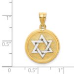 14k Two-tone Solid Satin Finish Flat Back Star of David Disc Charm - Image 2