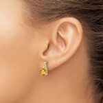 10k Citrine and Diamond Earrings - Image 3