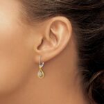 14k Two-tone 1/15 carat Diamond Teardrop Dangle Leverback Earrings - Image 3
