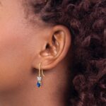 14k Two-Tone 6x4mm Oval Sapphire and Diamond Shepherd Hook Earrings - Image 3