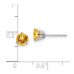 14k White Gold Round Citrine Earrings - Image 4