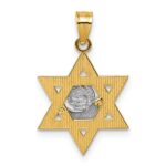 14k Two-tone Textured Dove On Star Of David Pendant - Image 3