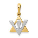 14K Two-tone Star of David with Shin Symbol Charm