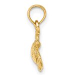 14K Textured Sea Turtle Charm - Image 2