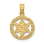 14K Textured Star Of David In Circle Charm