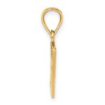 14k Solid Enameled Puerto Rico Flag Pendant - Image 2