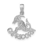 14k White Gold CAPRICORN Zodiac Charm