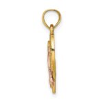 14K Two-tone with White Rhodium Dolphin In Heart Charm - Image 2