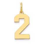 14k Medium Polished Number 2 Charm