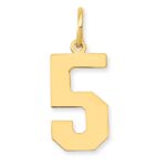 14k Medium Polished Number 5 Charm