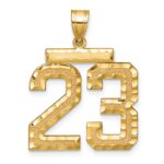 14k Large Brushed Diamond-cut Number 23 Charm