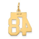 14k Small Polished Number 48 Charm - Image 3