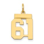 14k Small Polished Number 61 Charm