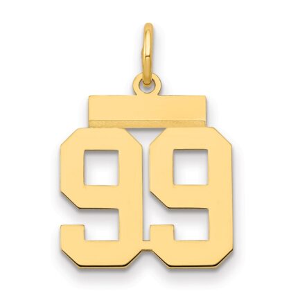 14k Small Polished Number 99 Charm