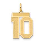 14k Medium Satin Number 10 Charm