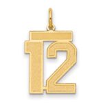 14k Medium Satin Number 12 Charm