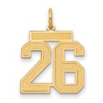 14k Medium Satin Number 26 Charm