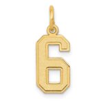 14k Small Satin Number 6 Charm
