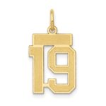 14k Small Satin Number 19 Charm