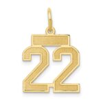 14k Small Satin Number 22 Charm