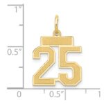 14k Small Satin Number 25 Charm - Image 4