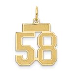 14k Small Satin Number 58 Charm