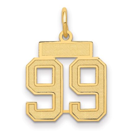 14k Small Satin Number 99 Charm