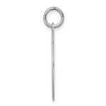 Sterling Silver Rhodium-plated Doberman Pinscher Disc Charm - Image 2