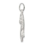 Sterling Silver Lion Charm - Image 2