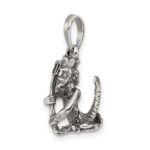 Sterling Silver Antiqued Aquarius Zodiac Pendant - Image 5
