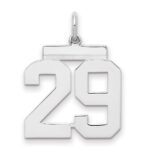 Sterling/Silver Rhodium-plated Polished Number 29 Charm