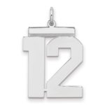 Sterling Silver/Rhodium-plated Polished Number 12 Charm
