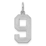 Sterling Silver/Rhodium-plated Satin Number 9 Charm