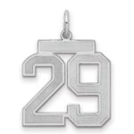 Sterling Silver/Rhodium-plated Satin Number 29 Charm