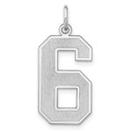 Sterling Silver/Rhodium-plated Satin Number 6 Charm