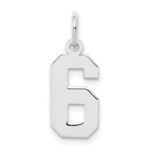 Sterling Silver/Rhodium-plated Polished Number 6 Charm