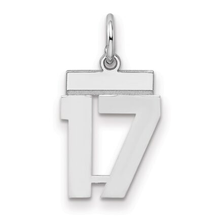 Sterling Silver/Rhodium-plated Polished Number 17 Charm