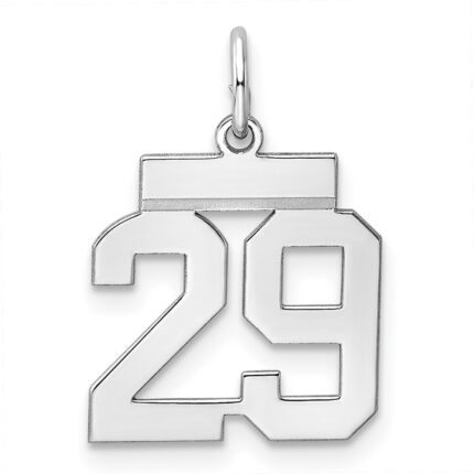 Sterling Silver/Rhodium-plated Polished Number 29 Charm