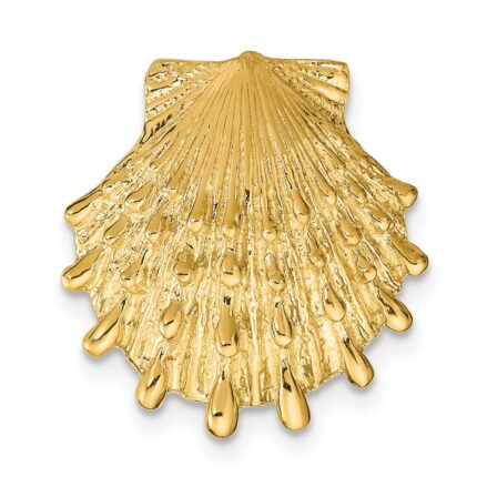 14k Lion's Paw Shell Omega Slide