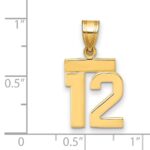 14k Small Polished Number 12 Charm - Image 2