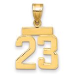 14k Small Polished Number 23 Charm