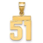 14k Small Polished Number 51 Charm