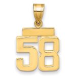 14k Small Polished Number 58 Charm