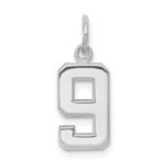14kw Small Polished Number 9 Charm