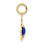 14K Boy Charm 6x4 Oval Genuine Sapphire-September - Image 2