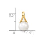 14K 7-8mm White Round Freshwater Cultured Pearl Polished Pendant - Image 3