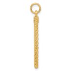 14k Patterned with Rope Edge .013 Gauge Engravable Round 31x26mm Disc with Satin Back - Image 2